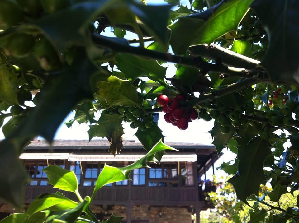 Hotel La Moncloa De San Lazaro Cacabelos  Zewnętrze zdjęcie